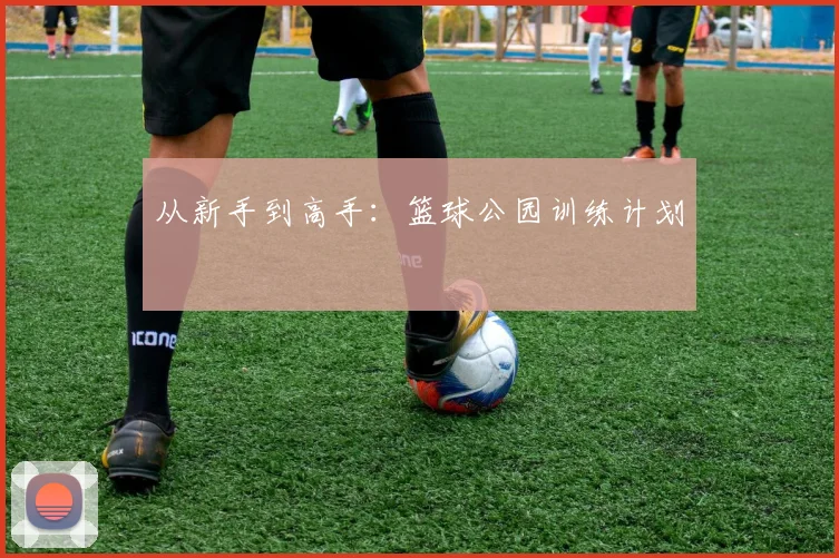 从新手到高手：篮球公园训练计划