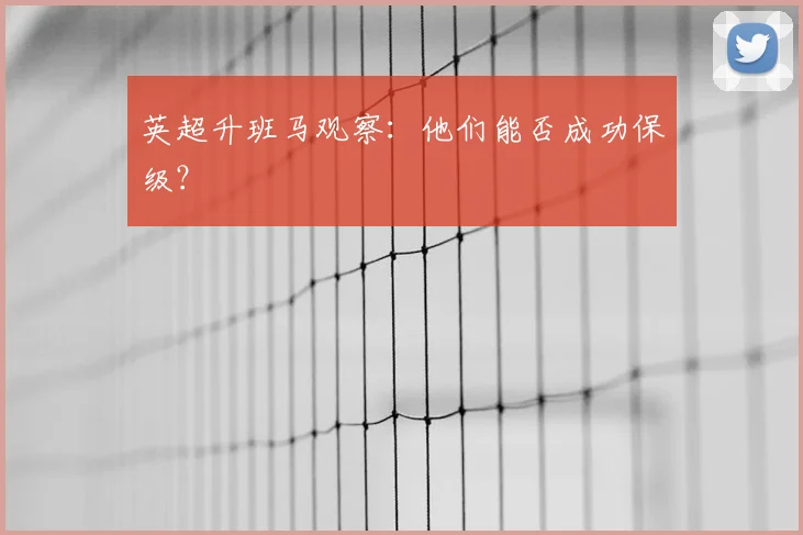 英超升班马观察:他们能否成功保级?